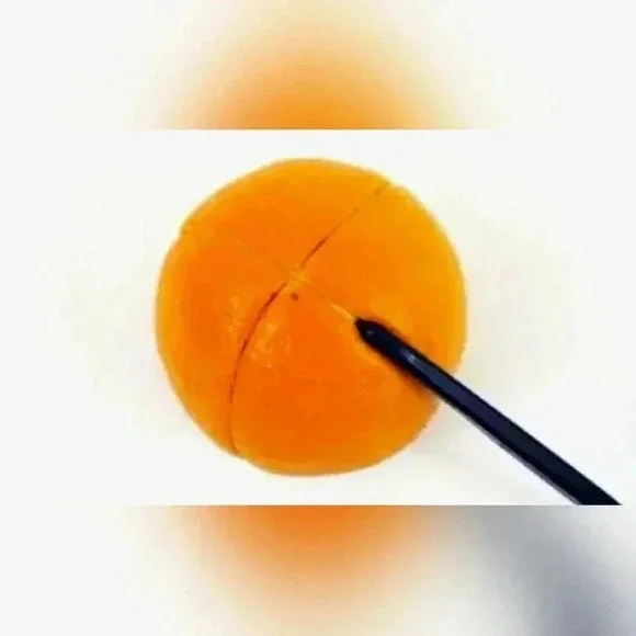 *NEW* Tupperware Orange Citrus Peeler in Black - Picture 5 of 5